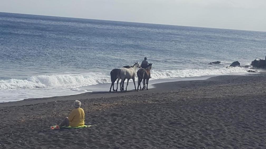 Santorini Pleasure Studios Fira  Ngoại thất bức ảnh